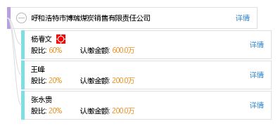 呼和浩特市博瑞煤炭銷售有限責任公司